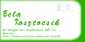 bela kosztocsik business card